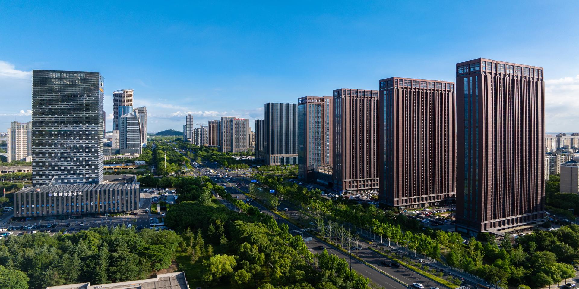 关于森之蓝的介绍